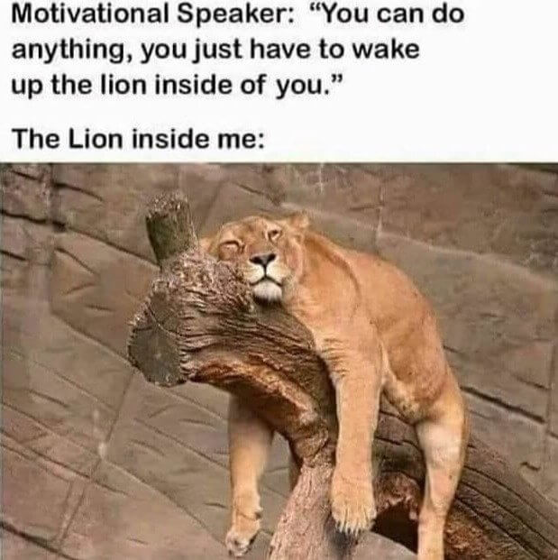 Not All Lions Are the Same