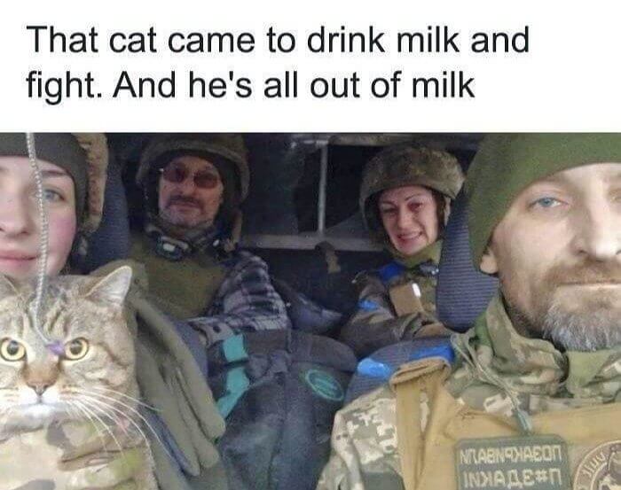 The Cat Became a Part of the Team