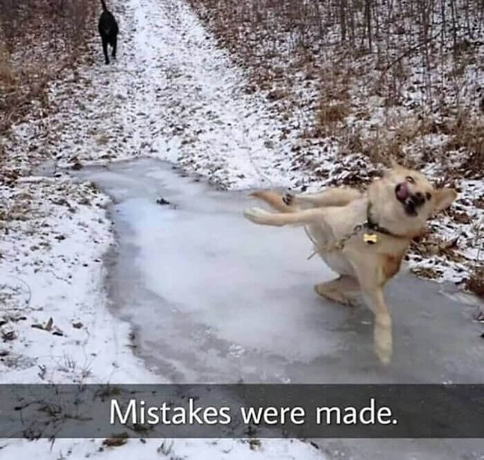 When Your Dog Wants to Go Ice Skating