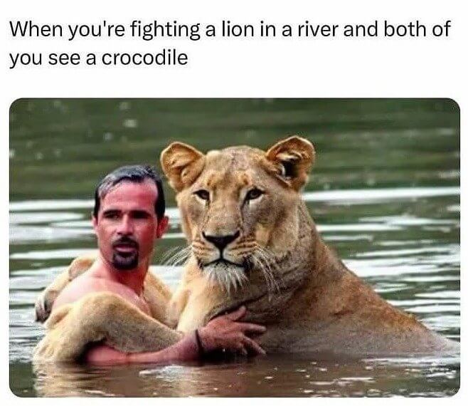 Who Is the Bigger Enemy? Lion or Crocodile