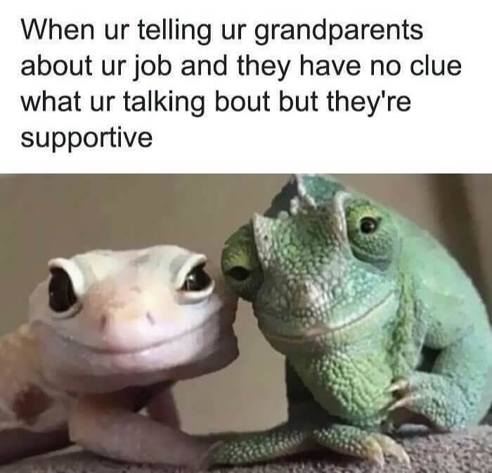 These Frogs Are the Face of Oblivious Support