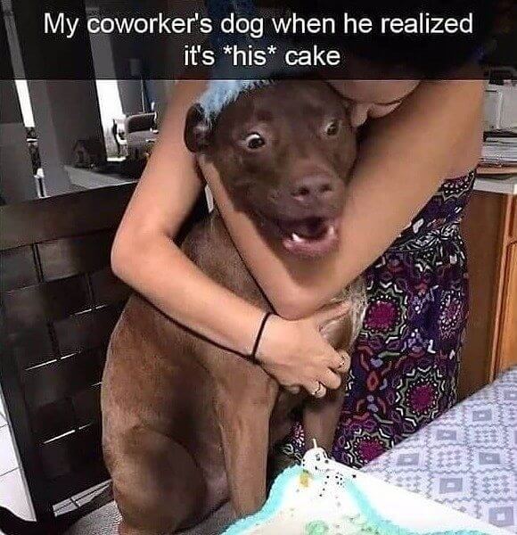 The Moment of True and Pure Bliss