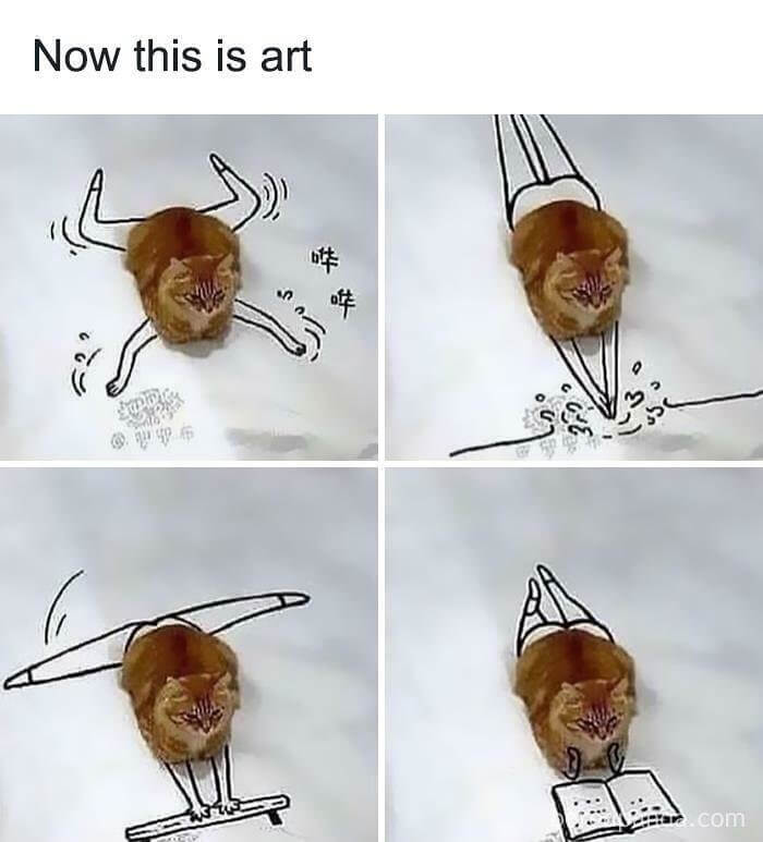 Making True Art From Your Lazy Cat