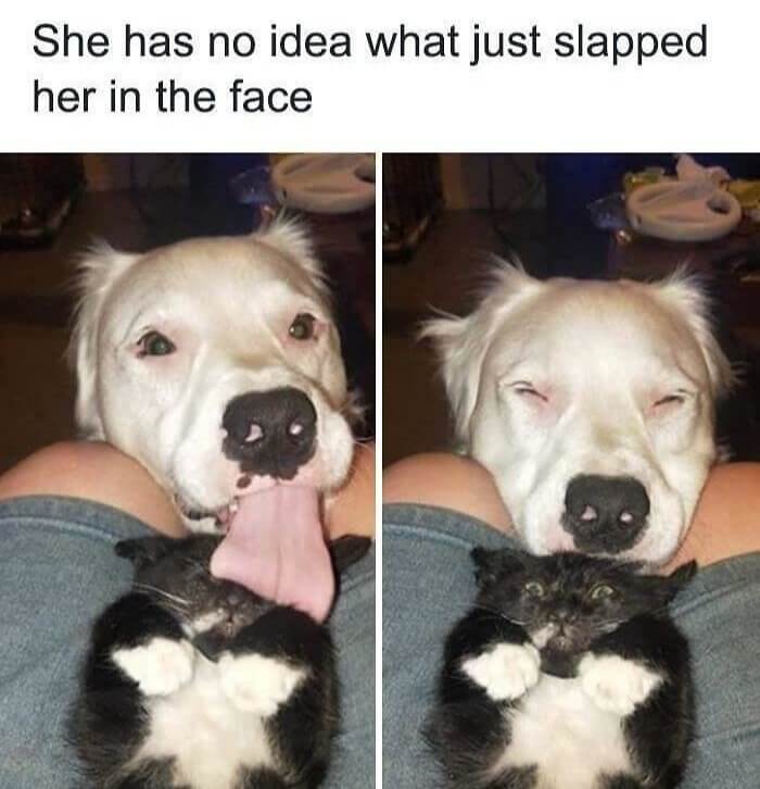 The Shock From a Single Kiss