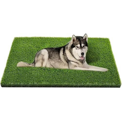 Professional Dog Grass Mat that Simplifies Potty Training. Now 24% Off!