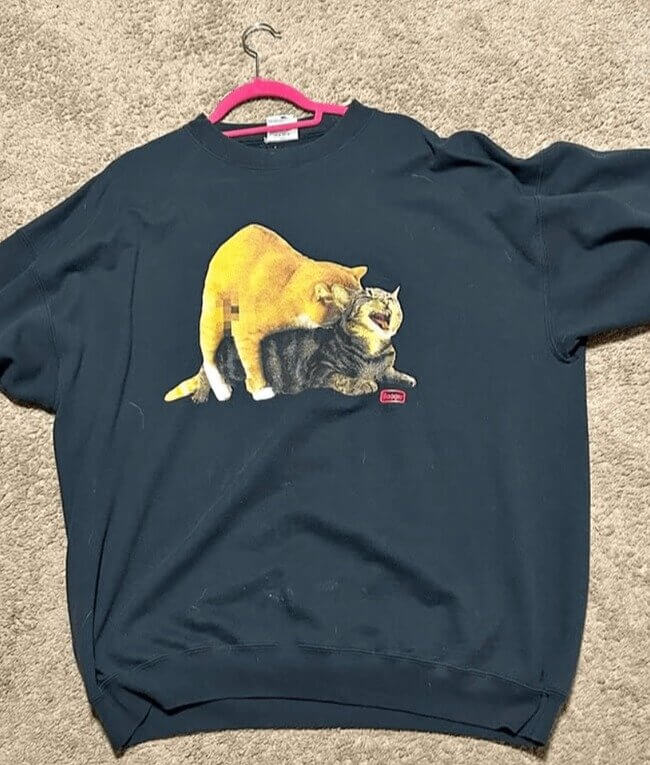 Two Felines Enjoying Life