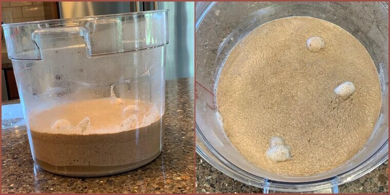 Teff Porridge - 13.3g