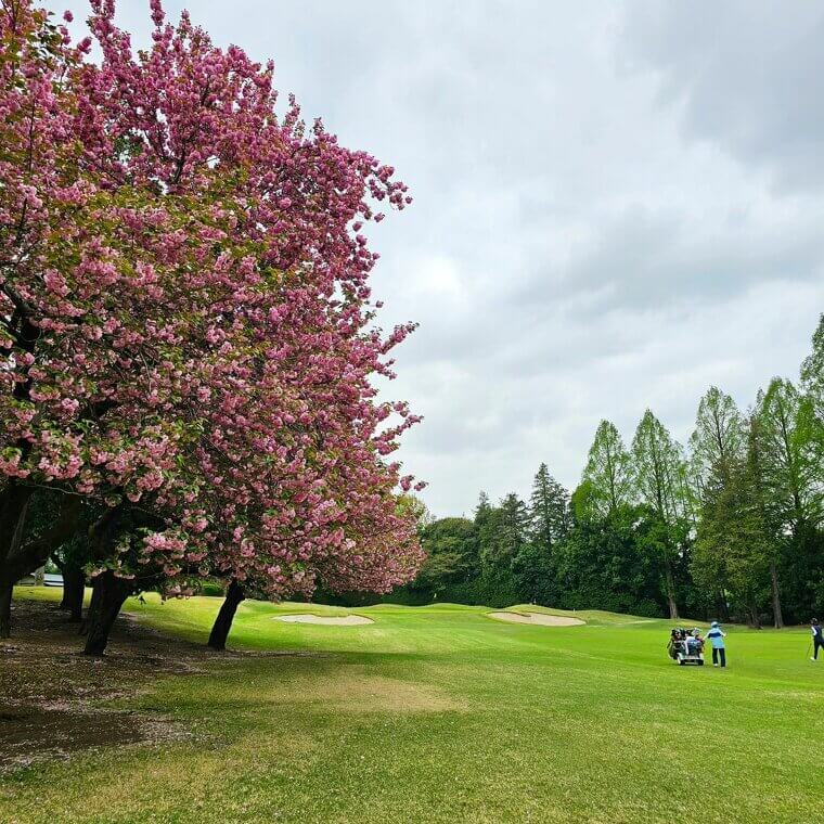 Koganei Country Club - Tokyo, Japan
