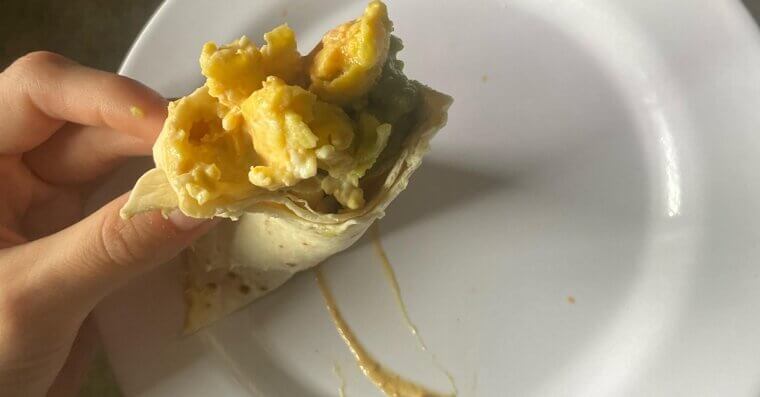Avocado and Egg Wrap