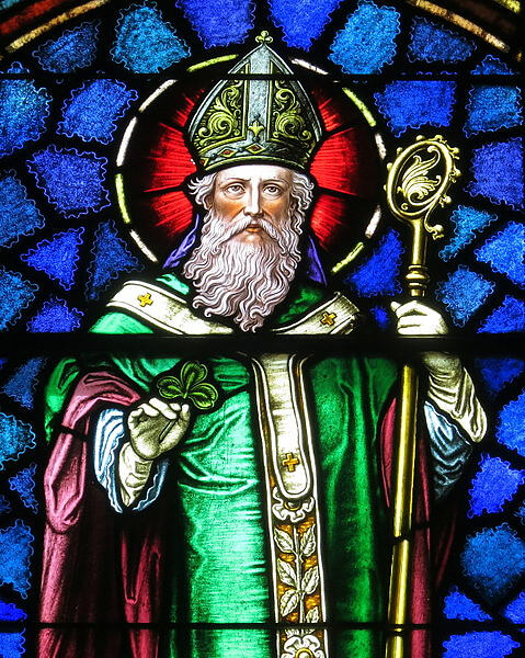 San Patrizio Non Ha Davvero Cacciato I Serpenti Dall'Irlanda