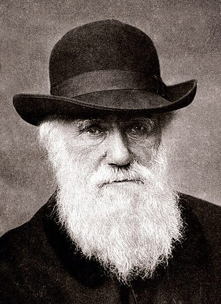 Charles Darwin Ha Assaggiato Qualsiasi Animale Esotico