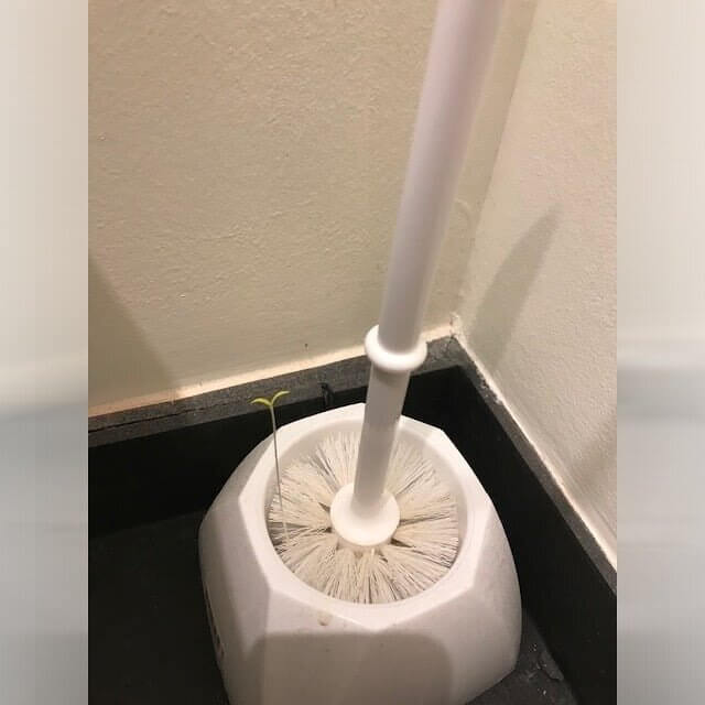 Suporte para escova de vaso sanitário para higiene
