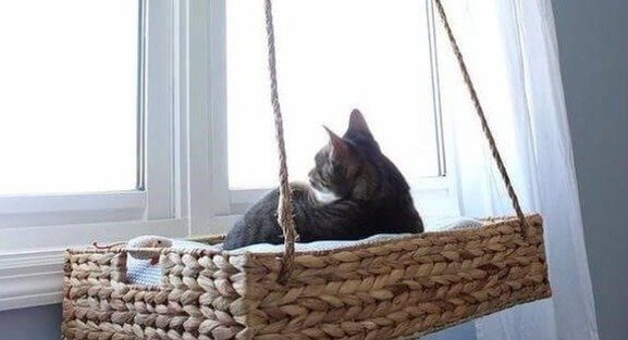 Make Your Cat A Window Basket