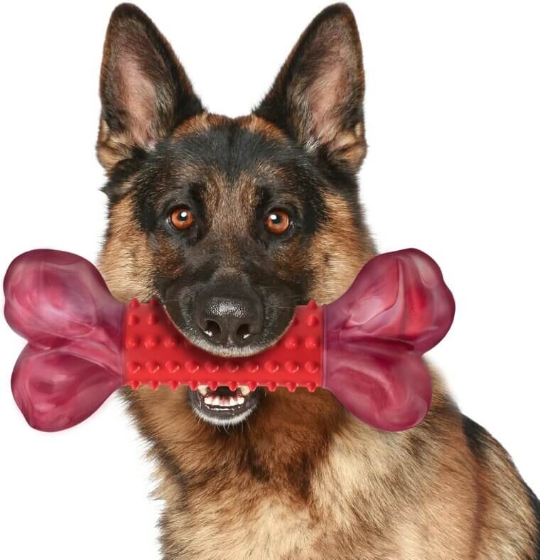 Apasiri Dog Chew Bone - Perfect for Aggressive Chewers and Teeth Cleaning