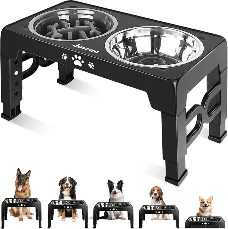 Elevated Dog Bowls with Adjustable Heights - Perfect for Your Pup - Enjoy 29% Off!