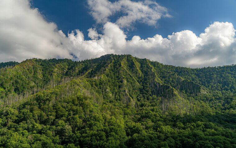 Great Smoky Mountains National Park - Crowded, Cloudy, and Confusingly Beloved