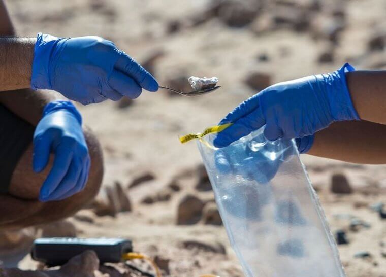 Deadly Diseases Can Be Cured by Microorganisms That Live in the Desert