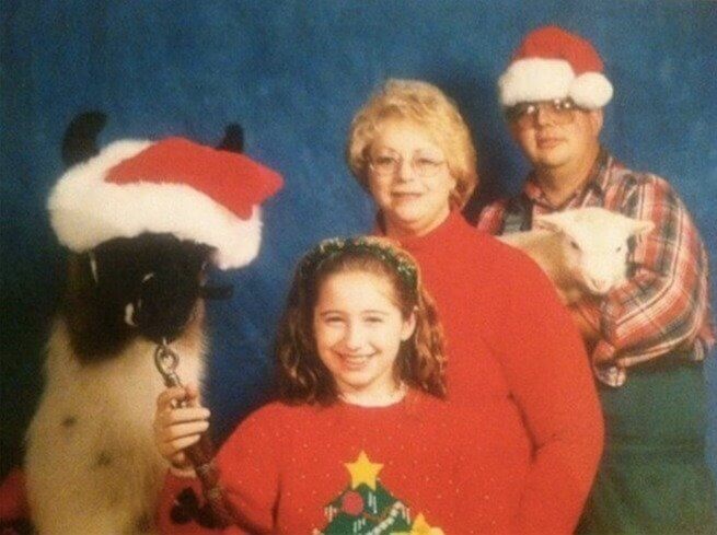 Fa-La-La-La-Llama