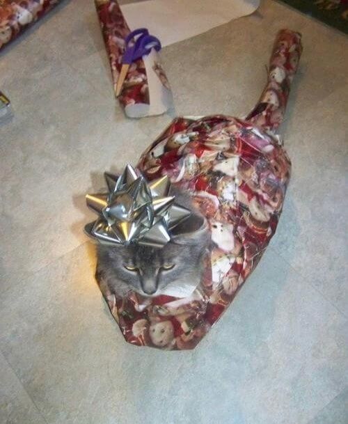When the Elves Make a Mistake