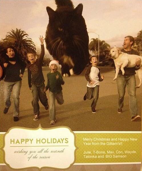 Happy Holidays From This Giant Cat