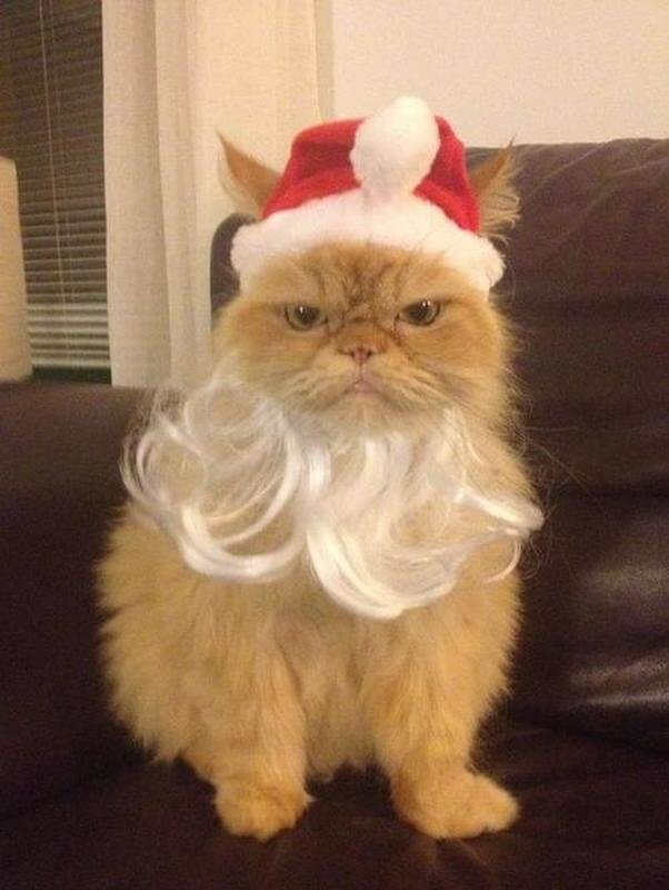 You Better Not Pout