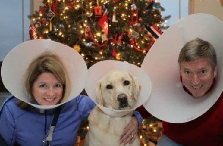Coning Around the Christmas Tree