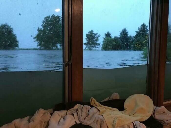 These People Said Rain, Rain, Go Away, Come Again Another Day