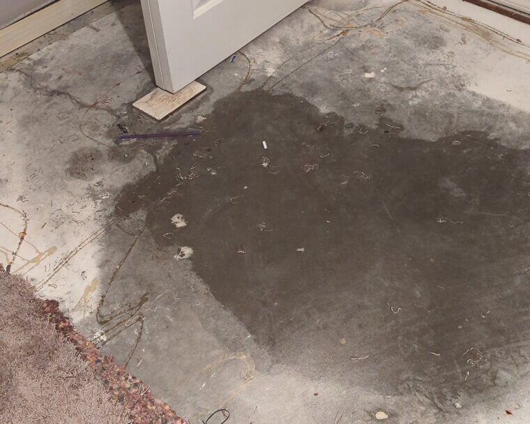 Ignoring Small Leaks Near Storage Areas