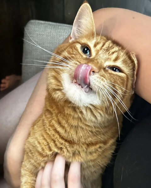 When to Worry About Hairballs