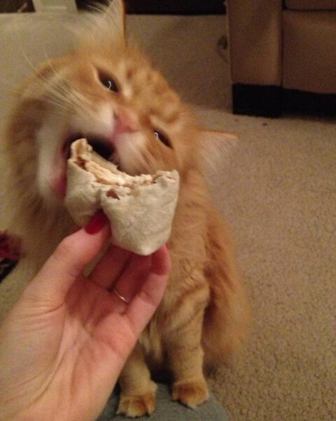 Stop Serving the Same Boring Meal