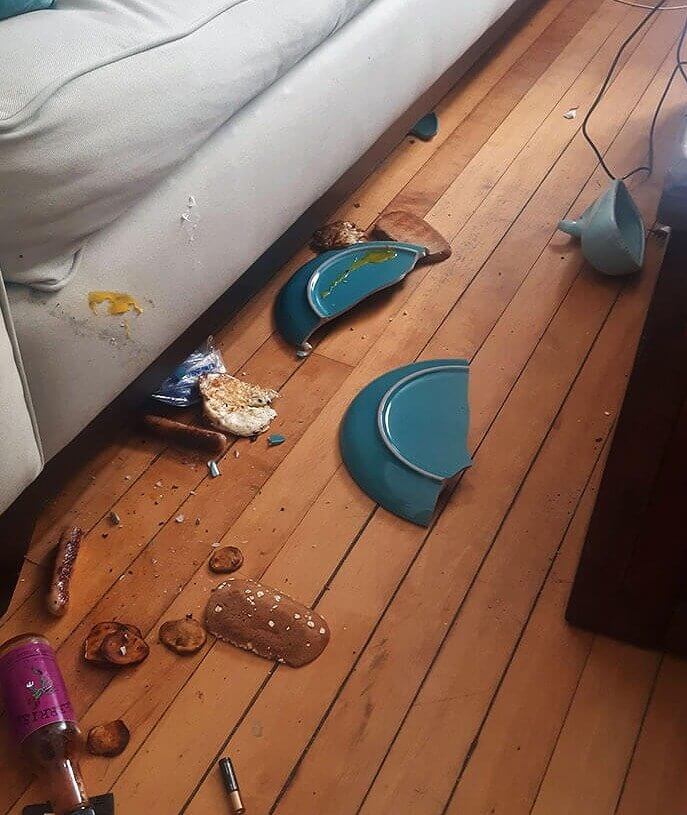 She Should Probably Just Stay Home the Rest of the Day