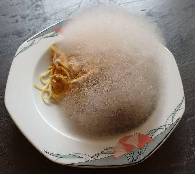 Always Keeping It in the Fungi Fam: Spaghetti With Mushrooms Becomes Spaghetti With Mold