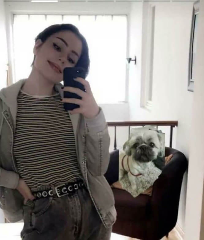 Fake Doggos