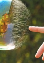 Photographers Who Clicked at the Right Moment