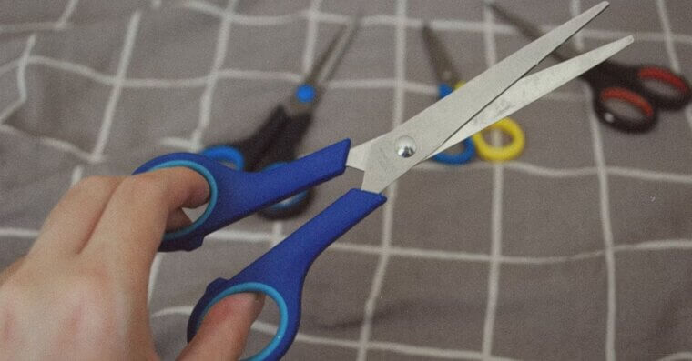 Long Scissors
