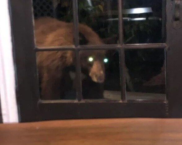 田舎ってコワイ