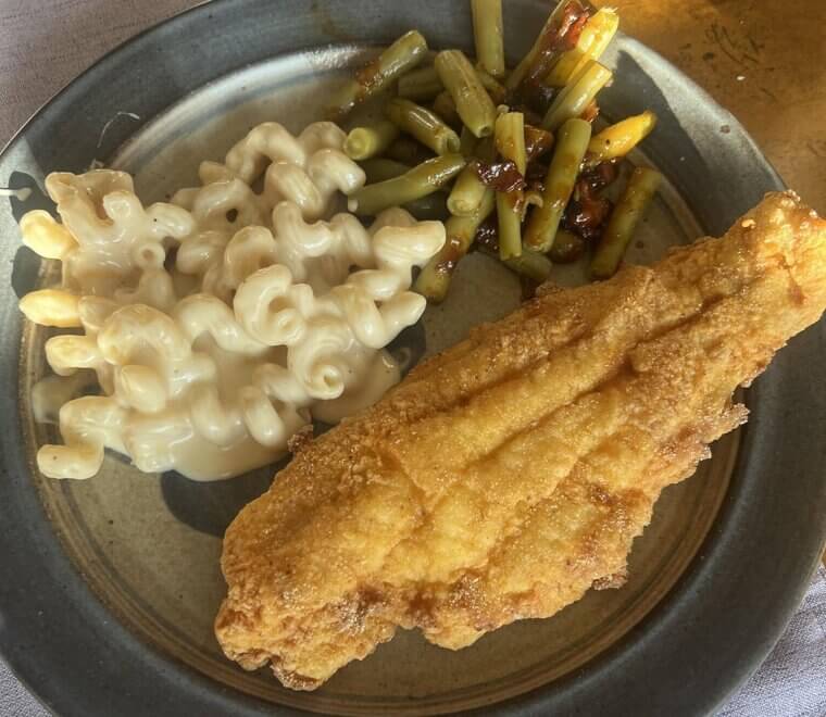 Fish With Fins Versus Fish Without Them