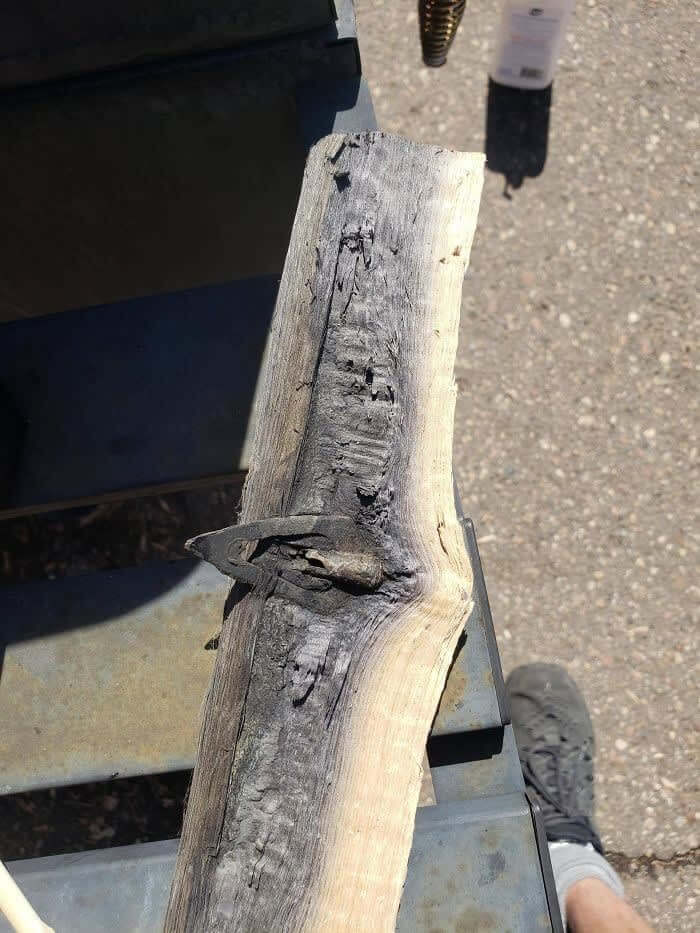 Arrowhead Found Inside A Log