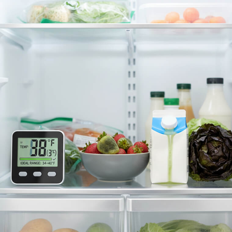 The Temperature Monitor That Pays for Itself