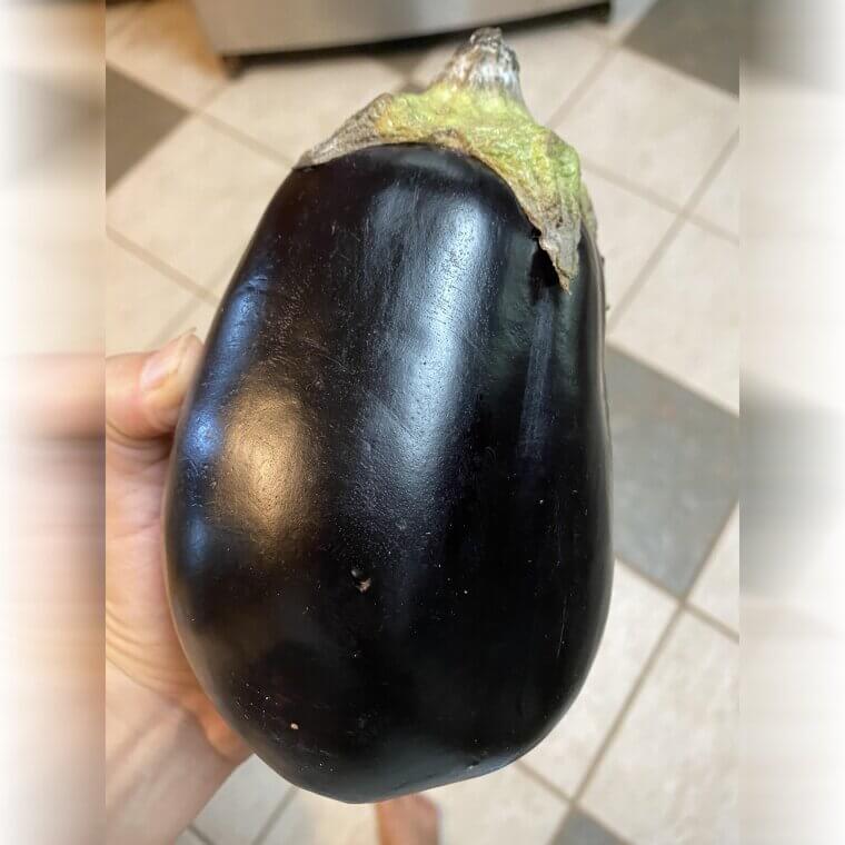 Eggplant