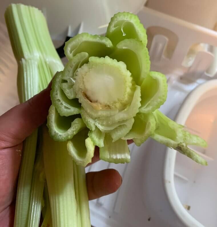 Celery
