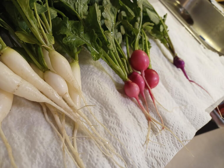Radishes