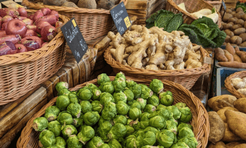 Common Foods From Across the World That Are Actually Not Well-Liked