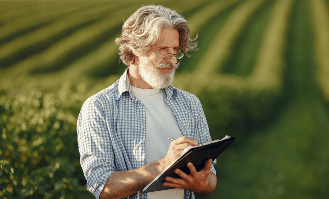 Why Great Writing Begins With Observation