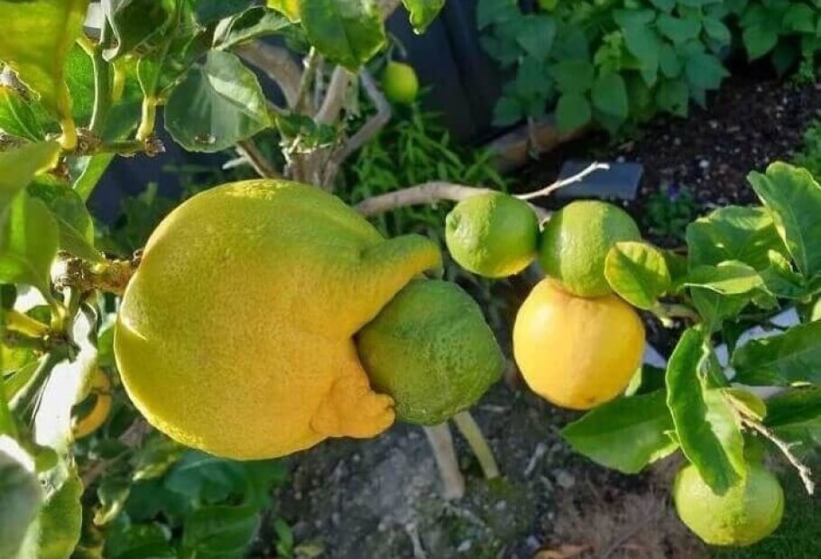 These Disturbing Photos Sent Tingles Down Our Spine