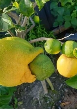 Ces photos troublantes nous ont donné des frissons dans le dos