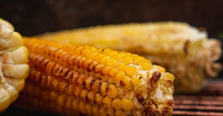 Fresh Corn on the Cob With Husks Removed