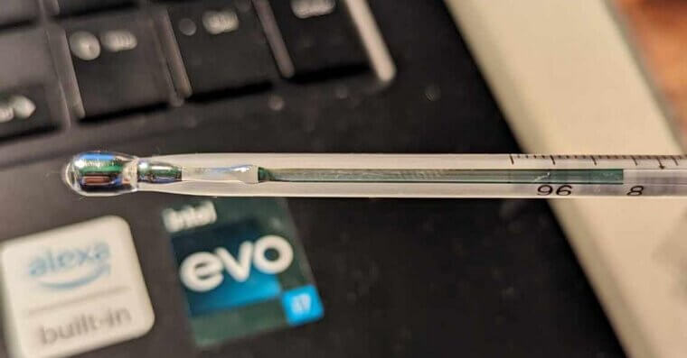 Glass Thermometers With Mercury