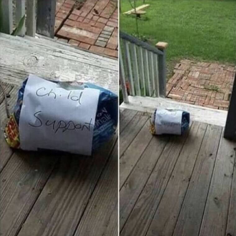 When Your Cat Gets Another Cat Pregnant, You Have to Step up