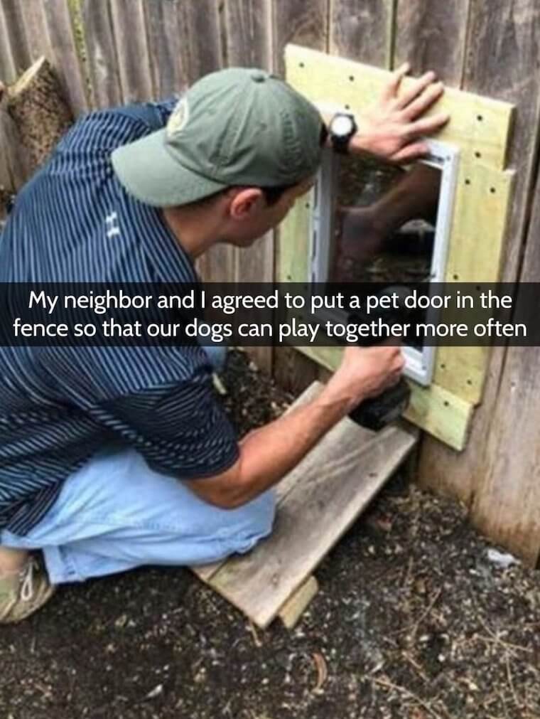 Love Thy Neighbor, and His Dog